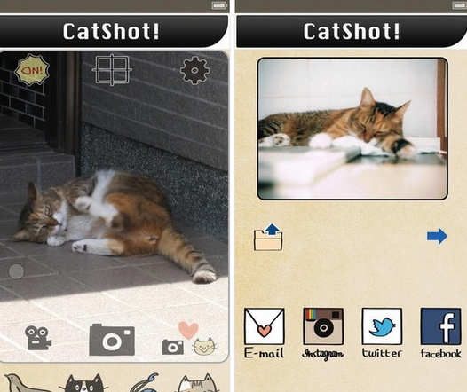 CatShot怎么玩？CatShot黑科技拍猫神器怎么使用