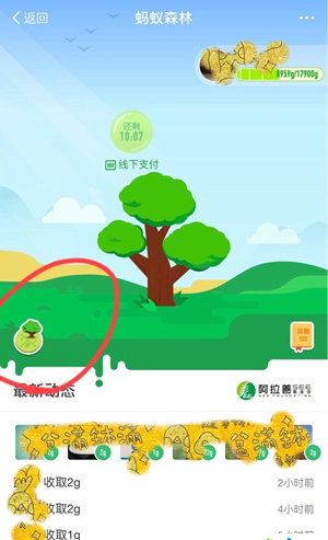 支付宝蚂蚁森林模拟地图在哪里？蚂蚁森林模拟地图怎么看