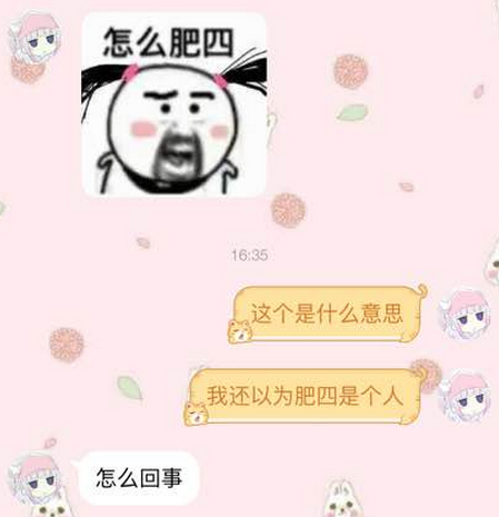 肥四是什么意思？肥四是什么梗？