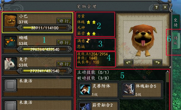 寻仙手游宠物系统玩法内容介绍解析