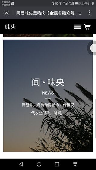 网易味央黑猪肉哪里卖？味央猪肉多少钱一斤？