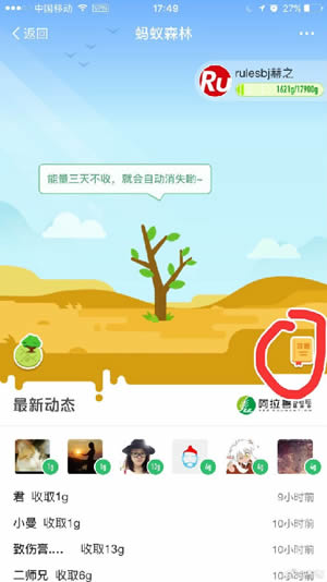 蚂蚁森林钉钉是什么？蚂蚁森林钉钉怎么收集能量？