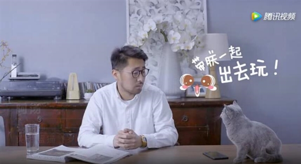 铲屎官泪目！菜鸟裹裹“萌急送”上线：专门提供宠物递送服务