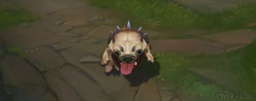 lol愚人节大嘴克格萌犬皮肤怎么样？lol大嘴克格萌犬皮肤展示