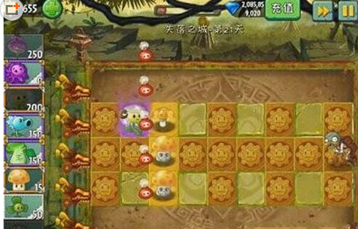 植物大战僵尸2失落之城怎么玩？植物大战僵尸2失落之城玩法攻略