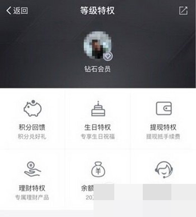 支付宝蚂蚁花呗钻石会员都有些什么特权？