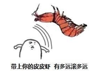 皮皮虾造反了是个什么梗？