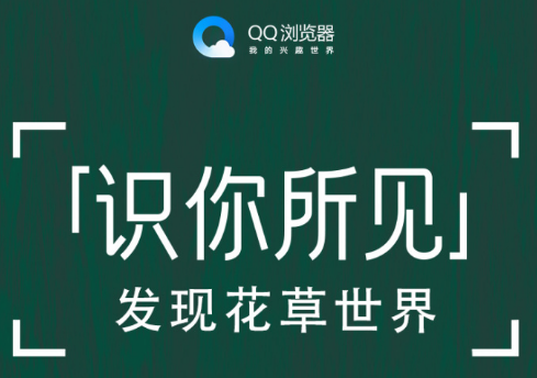 QQ浏览器识你所见是什么？QQ浏览器识你所见怎么玩？