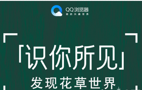 QQ浏览器识你所见怎样玩?QQ浏览器辨认花草方法