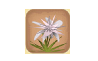 迷你世界灰色龙舌兰有什么用？迷你世界灰色龙舌兰制作攻略
