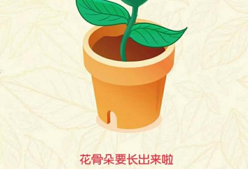 支付宝七夕有什么活动？支付宝七夕AR扫花送真花