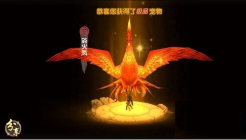 寻仙手游骑宠怎么进化？