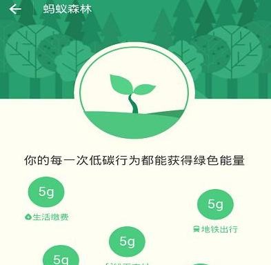 如何快速获得蚂蚁森林绿色能量？支付宝蚂蚁森林绿色能量获得教程