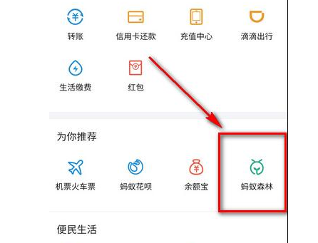 支付宝蚂蚁森林怎么种树？支付宝蚂蚁森林玩法教程