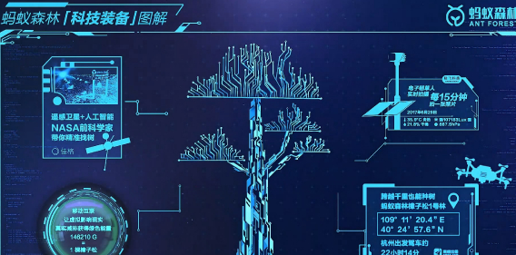 支付宝蚂蚁森林怎么找树？蚂蚁森林找树怎么玩？