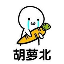 胡萝北什么梗？胡萝北是什么意思？