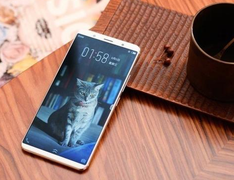 什么是Face Wake技术？vivo X20面部识别速度快到0.1秒