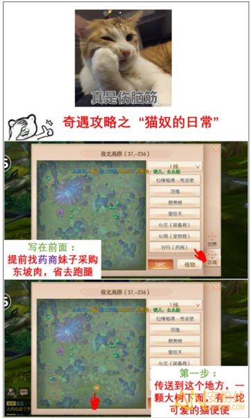 九州天空城3D手游奇遇森林救生灵通关攻略详细介绍
