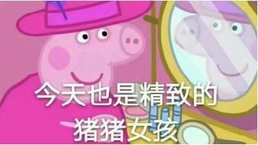 精致的猪猪女孩是什么梗？精致的猪猪女孩出处是什么？