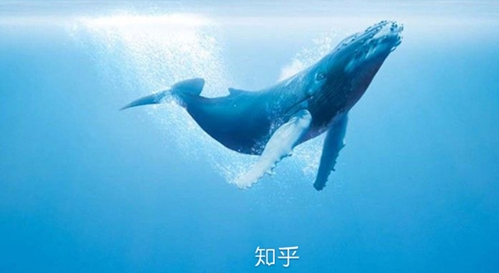知乎知卡怎么样？知乎知卡资费介绍