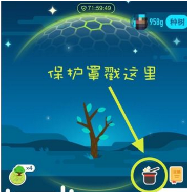 支付宝蚂蚁森林能量保护罩有效期多长？