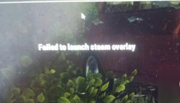 绝地求生failed to launch steam overlay怎么解决?绝地求生failed to launch steam overlay解决方法