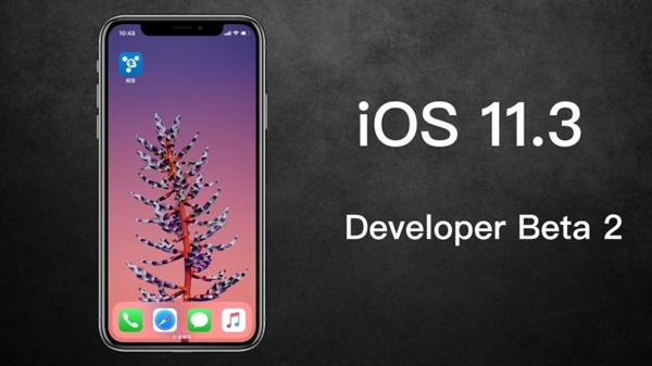 iOS 11.3 beat2来袭：支持手动降频