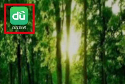 百度阅读代金券怎么使用？