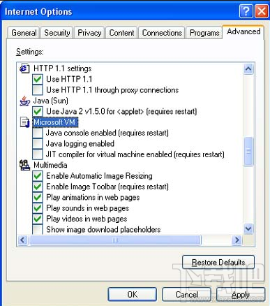 Microsoft Java Virtual Machine(3)