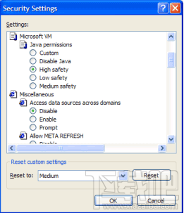 Microsoft Java Virtual Machine(1)