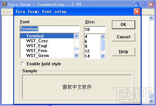 Tera Term Pro(4)