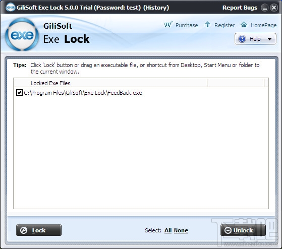 Gilisoft EXE Lock(2)