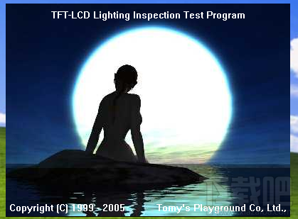 TFT LCD Lighting Inspection(2)