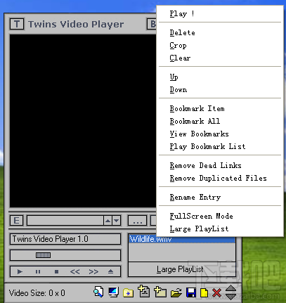 Twins Video Player(1)