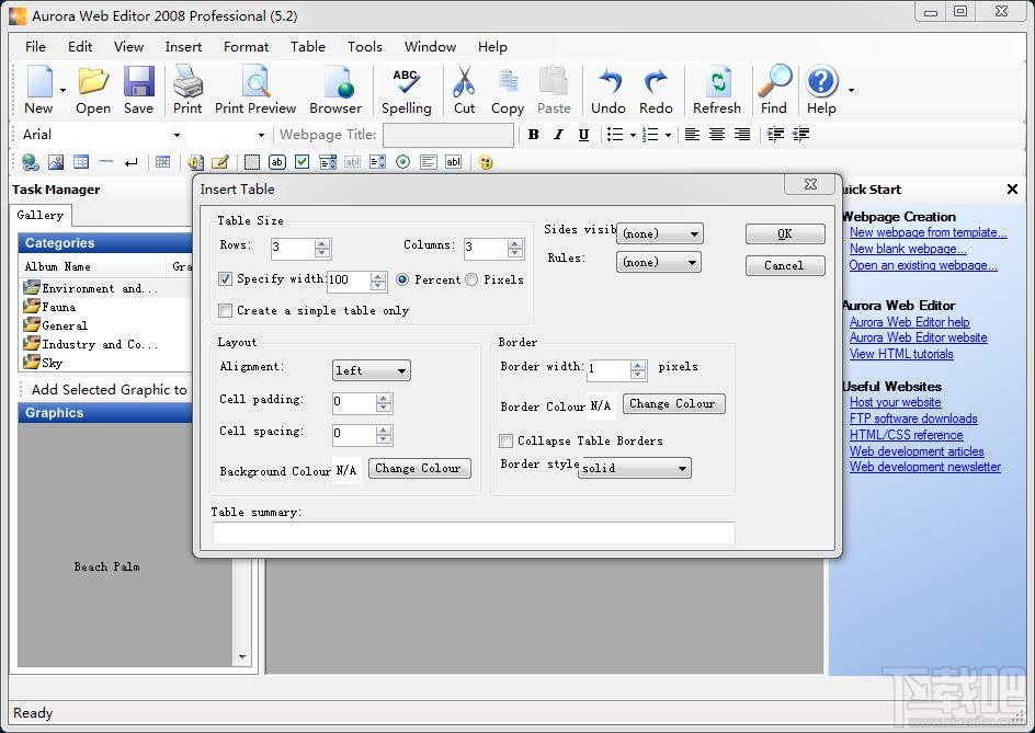 Aurora Web Editor 2008 Professional(3)