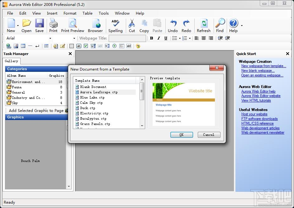 Aurora Web Editor 2008 Professional(1)