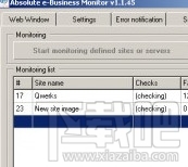 Absolute e-Business Monitor(1)