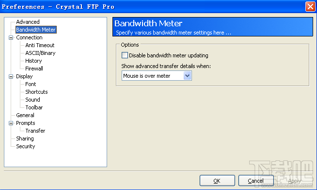 Crystal FTP Pro(2)