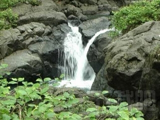 Alluring Waterfalls Screensaver(1)