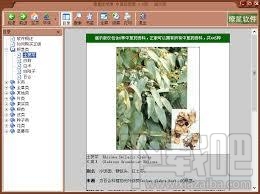 燎星醫(yī)學(xué)通-中草藥圖譜 3.0 官方版