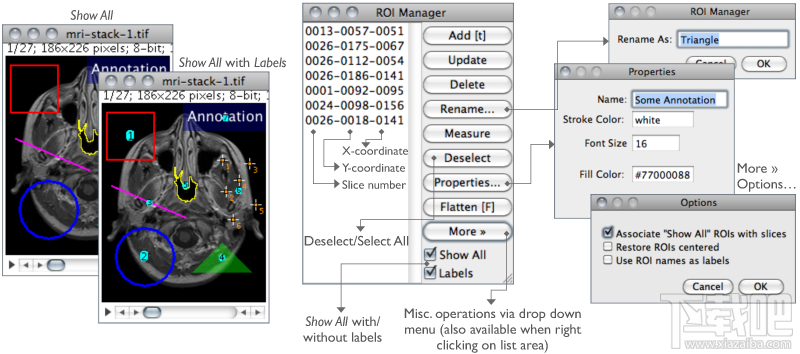 ImageJ(2)