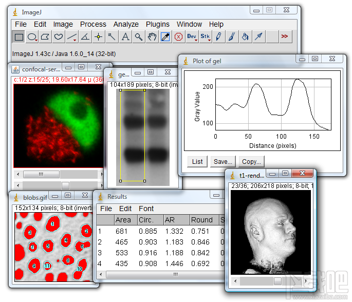 ImageJ(1)