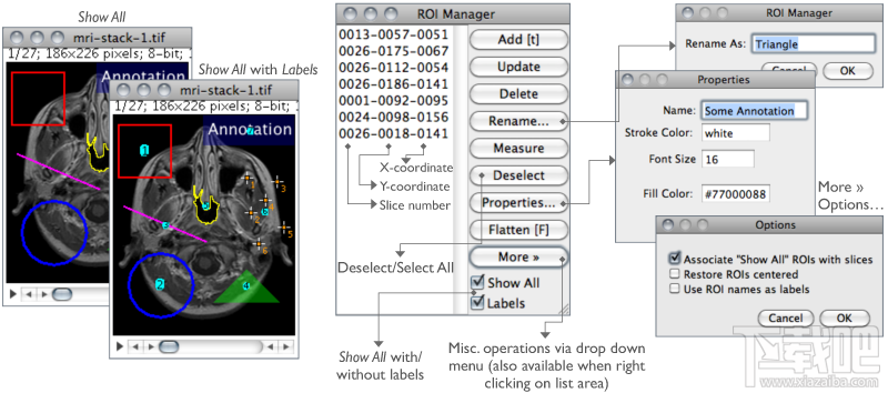 ImageJ x64(2)