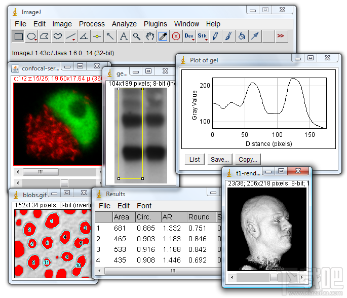 ImageJ x64(1)