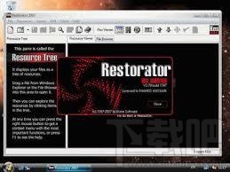 Restorator 2007(3)