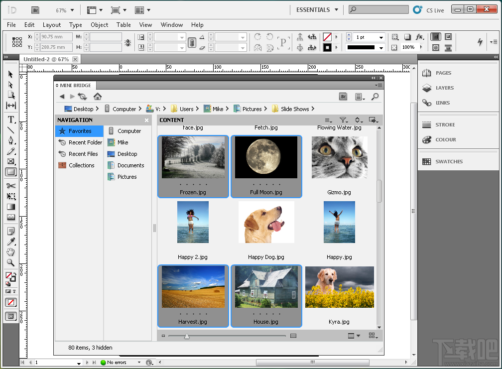 Adobe InDesign CS5(1)