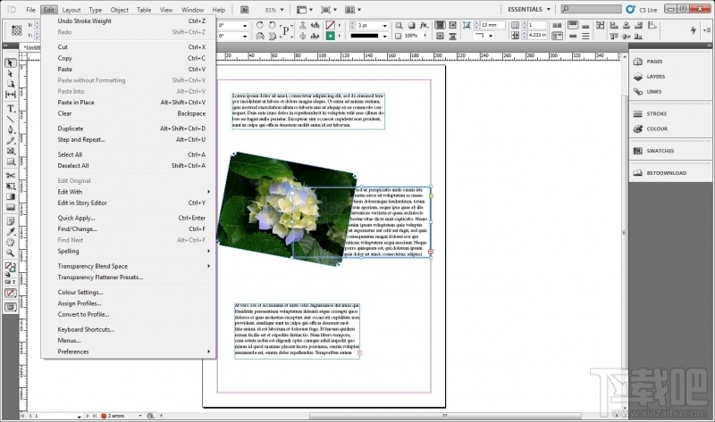 Adobe InDesign CS5(2)