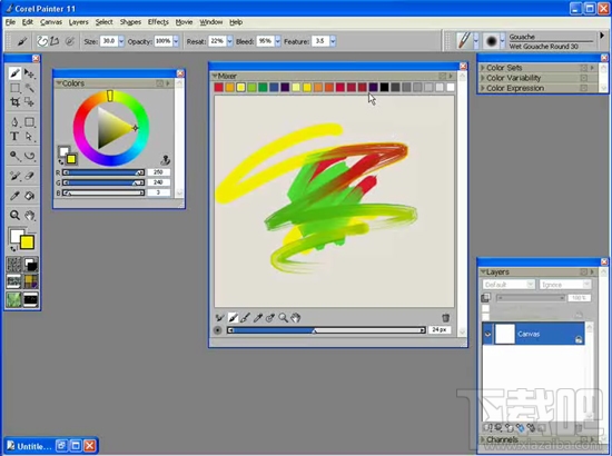 Corel Painter(1)