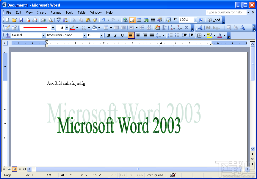 Office Word 2003(3)