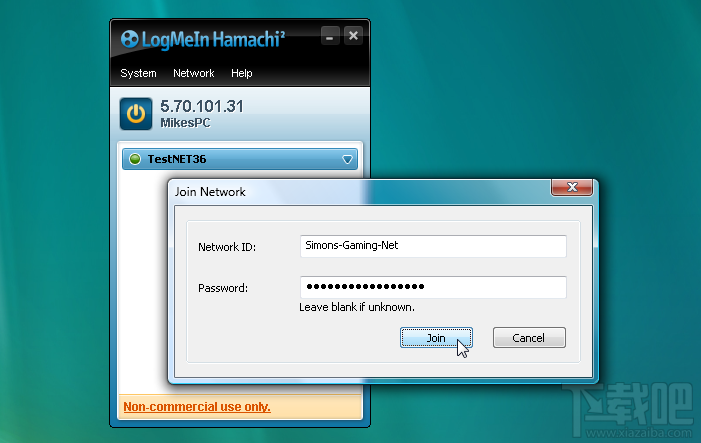 LogMeIn Hamachi(1)